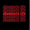 dhomit21